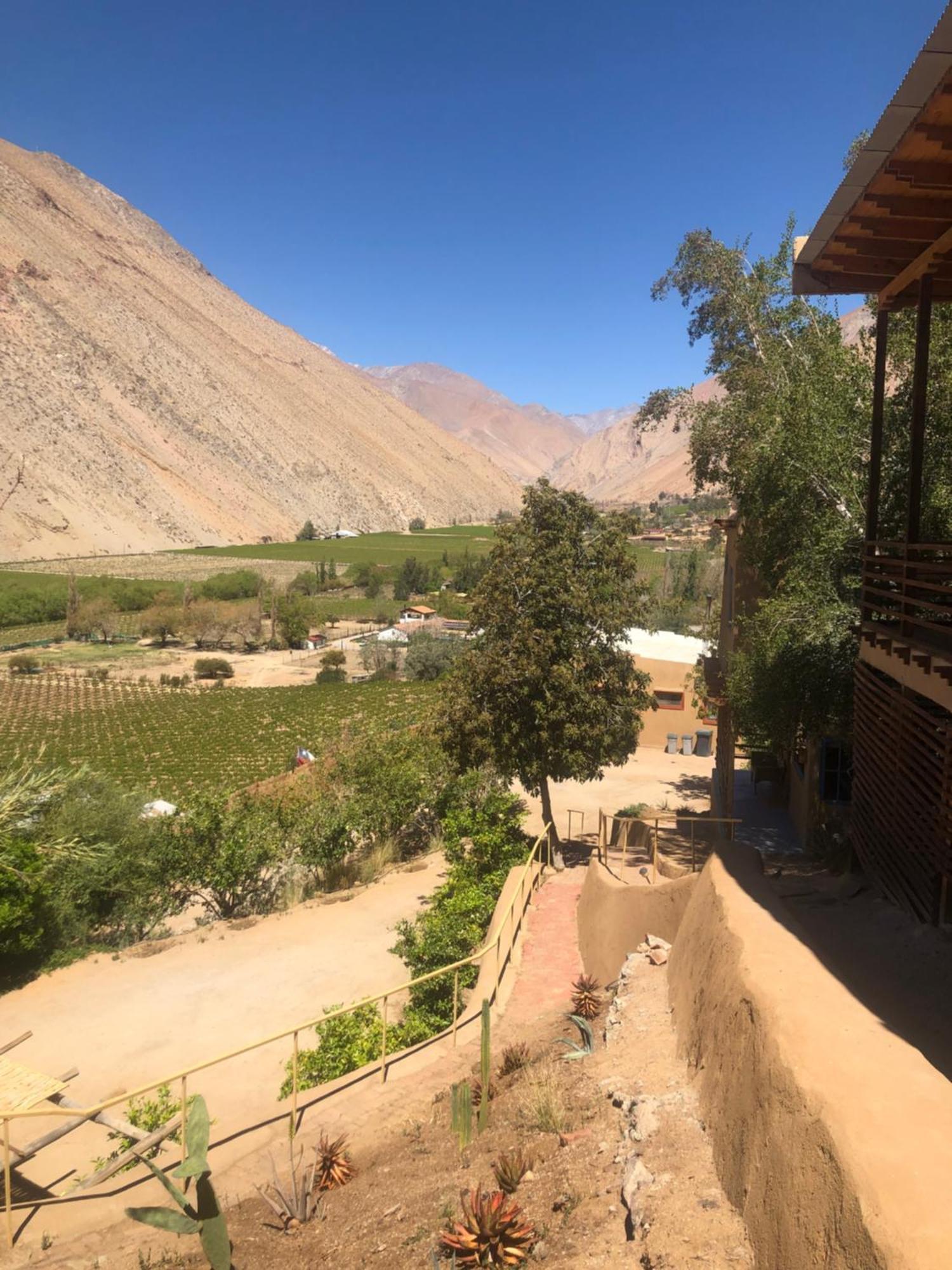 Cabanas Elquimista Pisco Elqui Bagian luar foto
