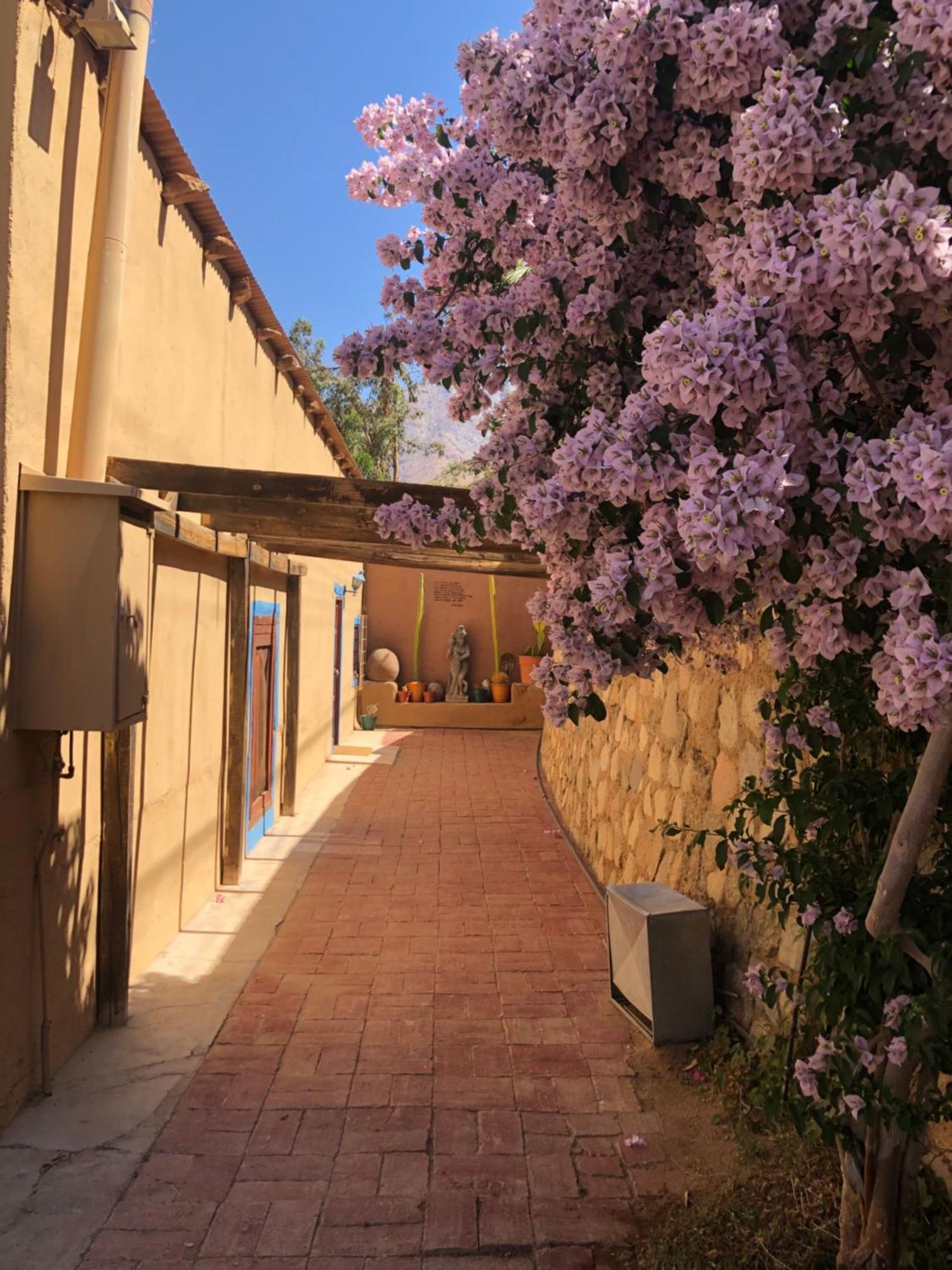 Cabanas Elquimista Pisco Elqui Bagian luar foto