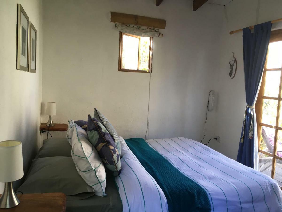 Cabanas Elquimista Pisco Elqui Bagian luar foto